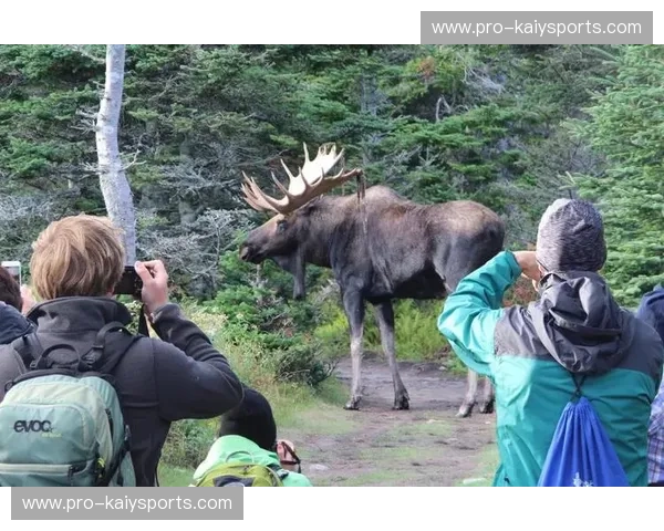 绿茵场上的“大卫之战”：多明萨尔与马赛的灵魂碰撞